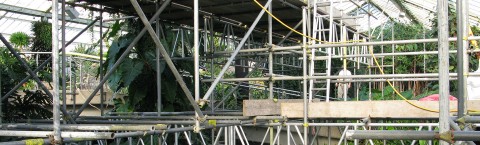 Unique Scaffolding